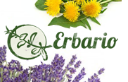 Erbario