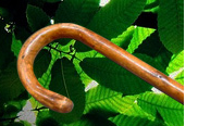 Paioulà