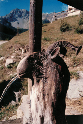 la koine della fontana
