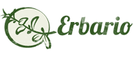 Erbario