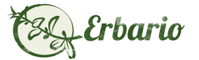 Erbario