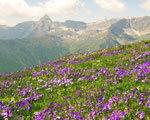 S. Martino di Stroppo- percorsi occitani