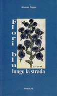 Fiori Blu lungo la strada