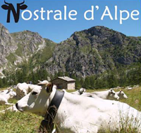 nostrale d'alpe